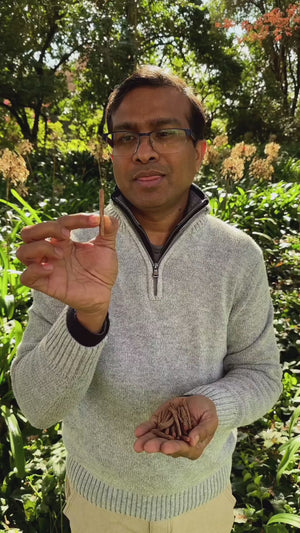 Organic Manjishta Powder