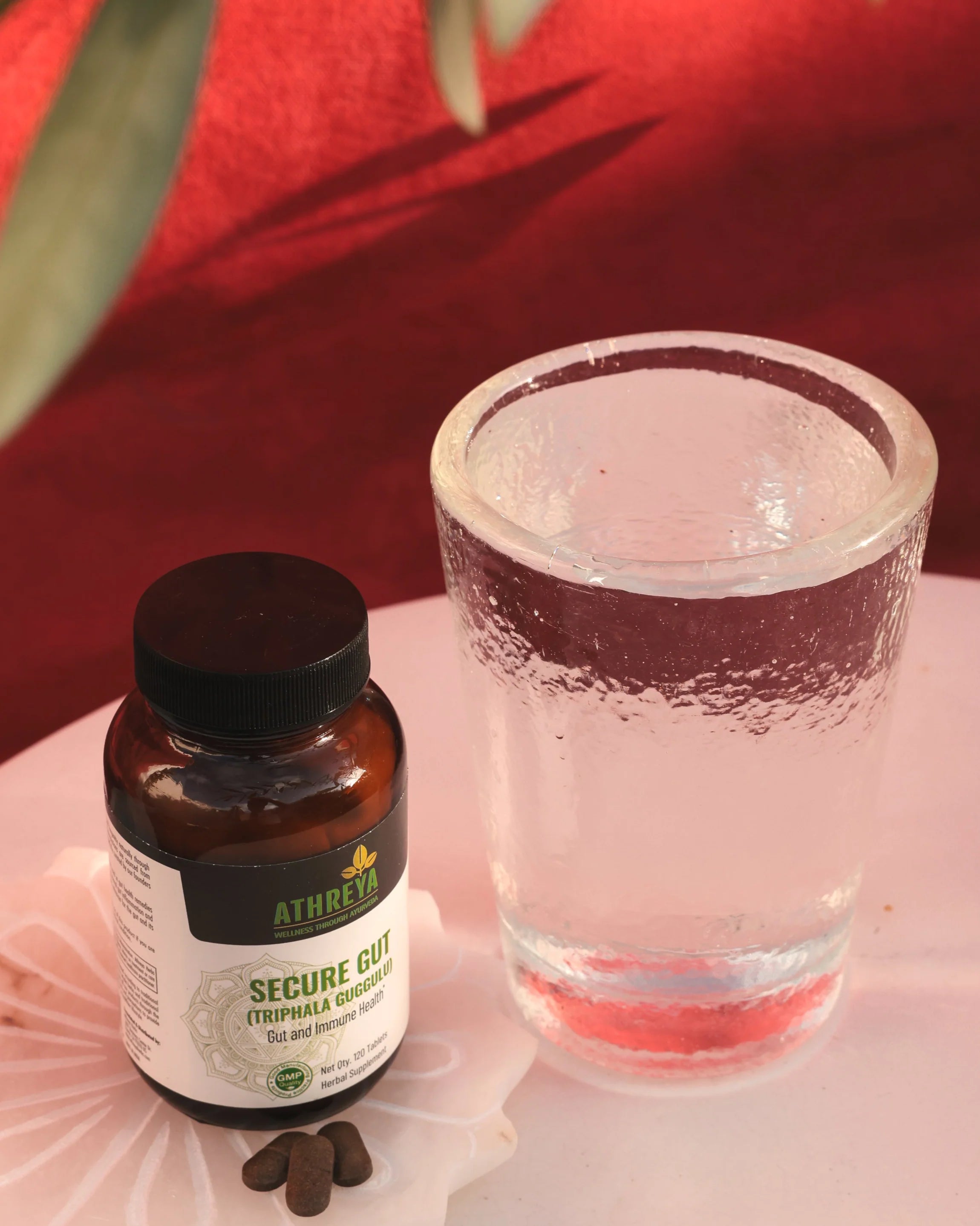 Secure Gut (Triphala Guggulu) – Ancient Support for Digestion & Metabolism