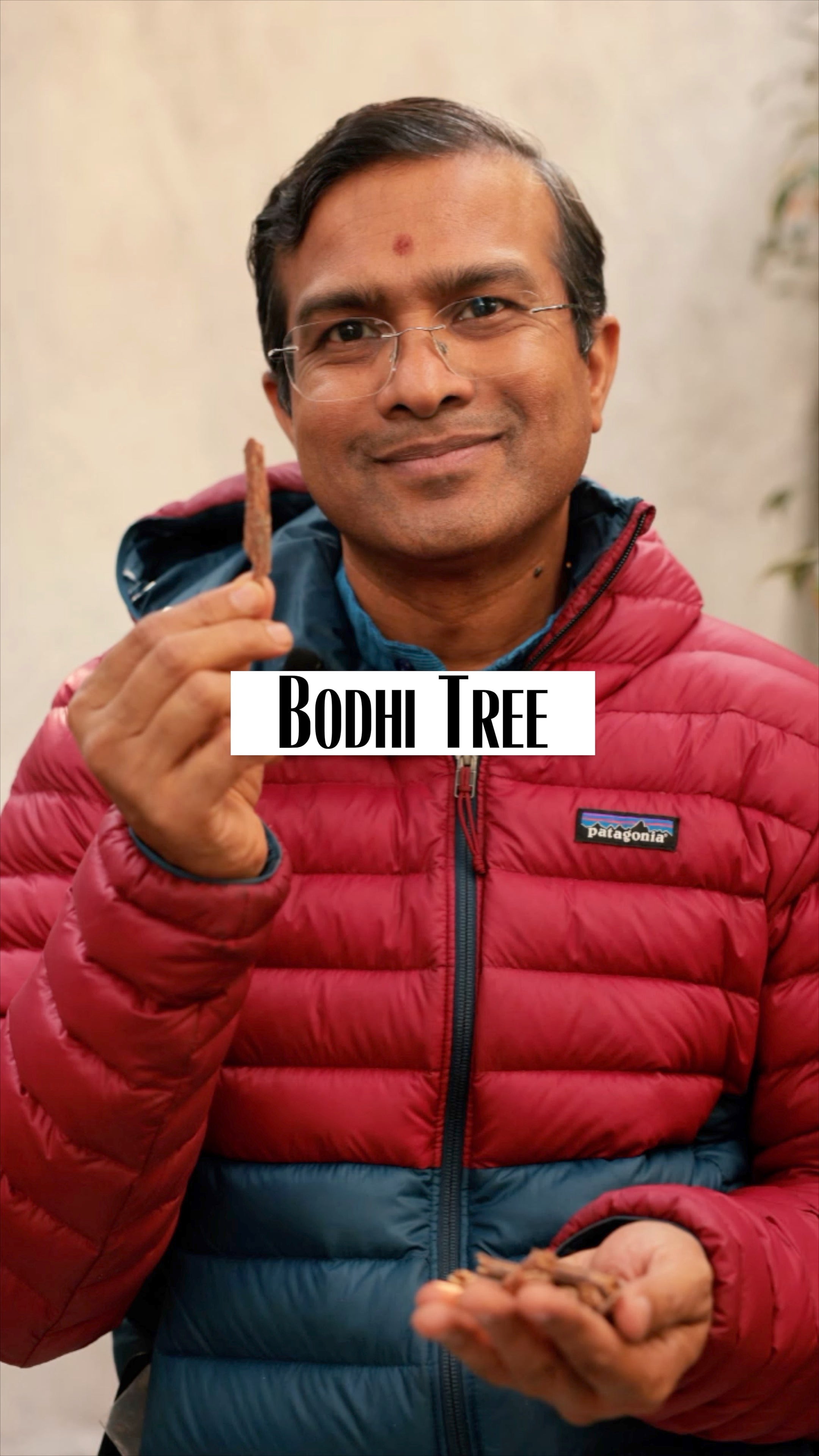 The Sacred Bodhi Tree