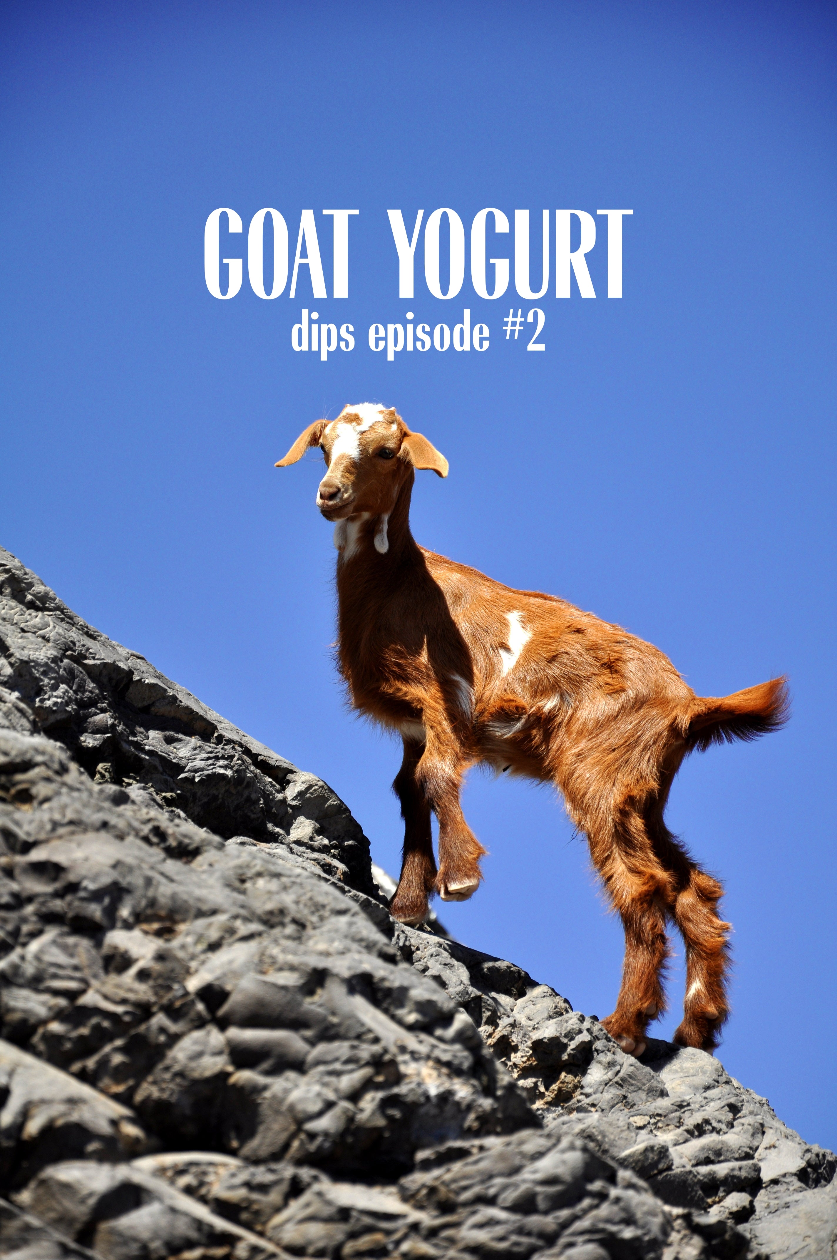 Dips Episode 2: GOAT YOGURT • OLIVES • CHIVES