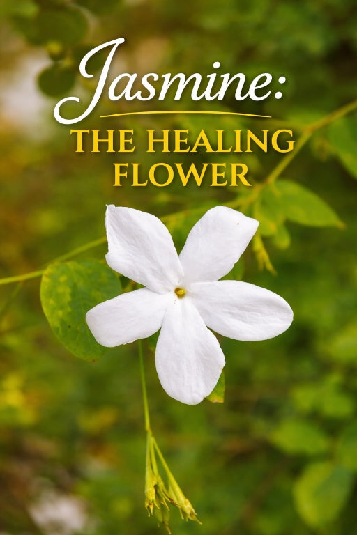 Jasmine in Ayurveda: Healing Burns, Wounds, and the Skin Naturally