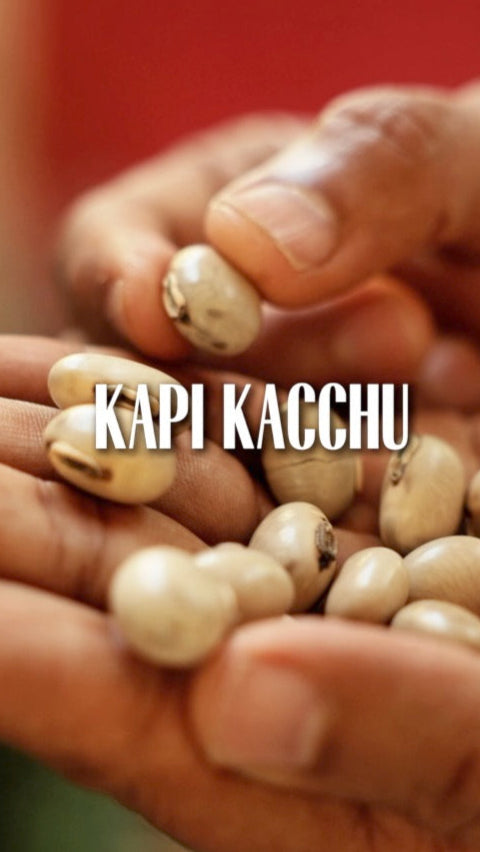 Kachu Infection Kapikacchu