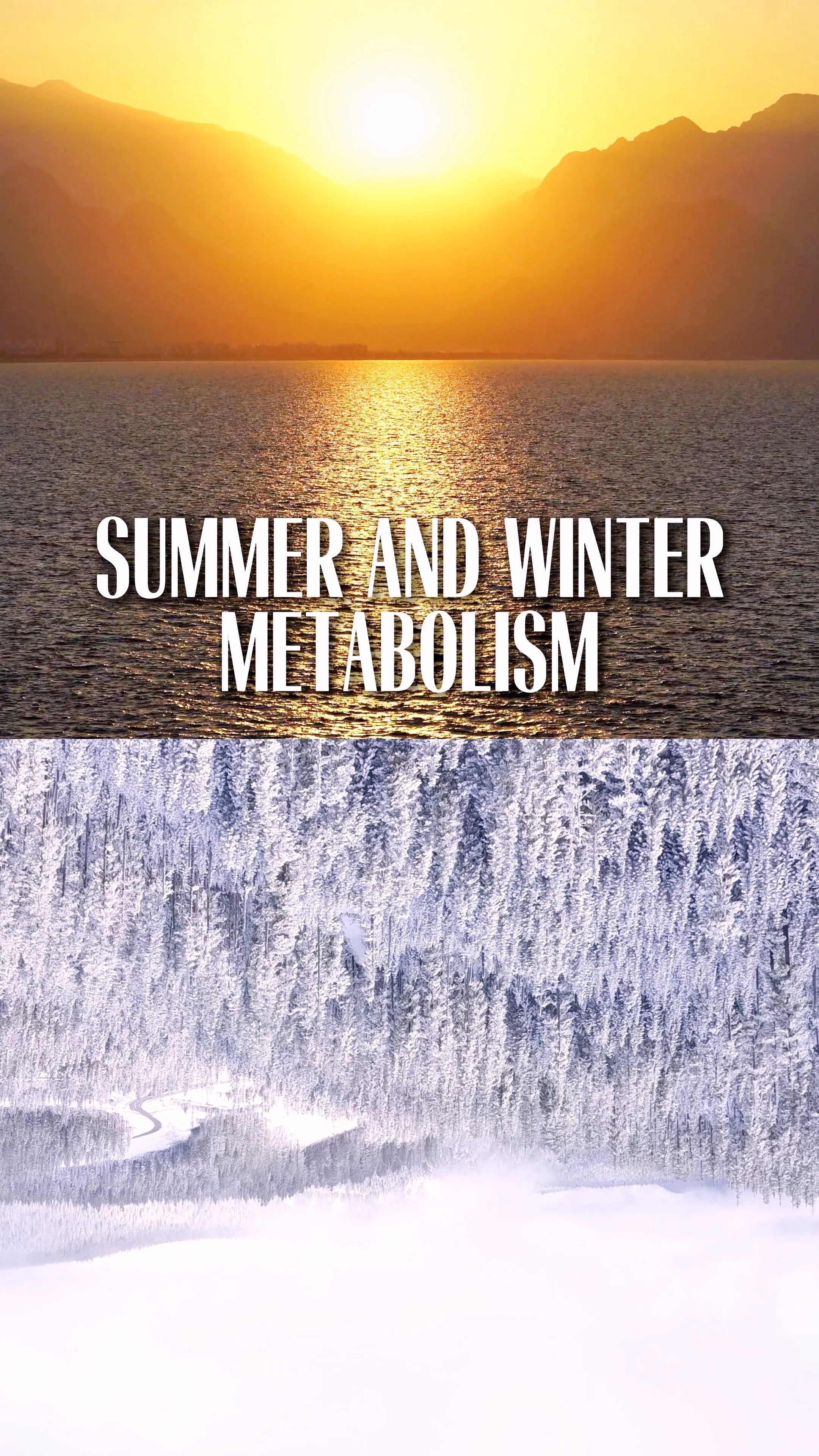 Metabolism Isn’t Just Yours—It Belongs to Nature Too
