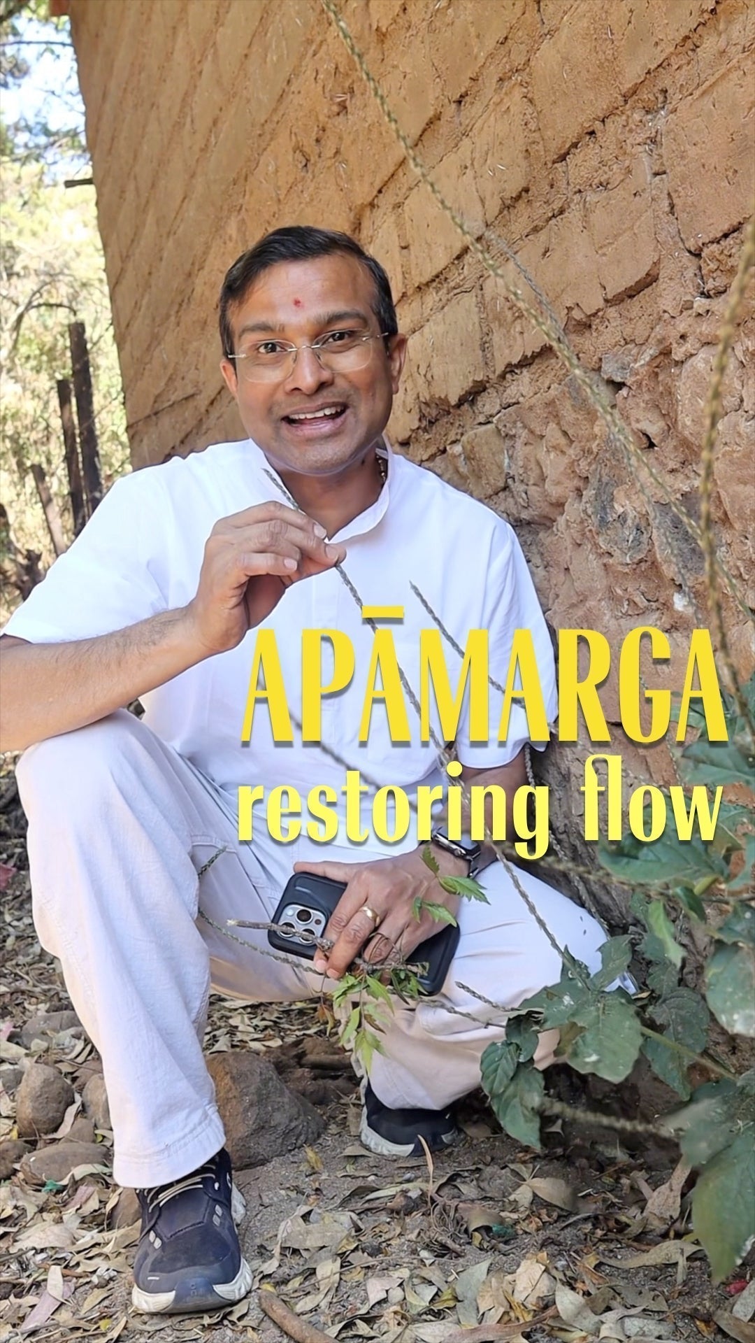 Herb for Clearing What’s Stuck