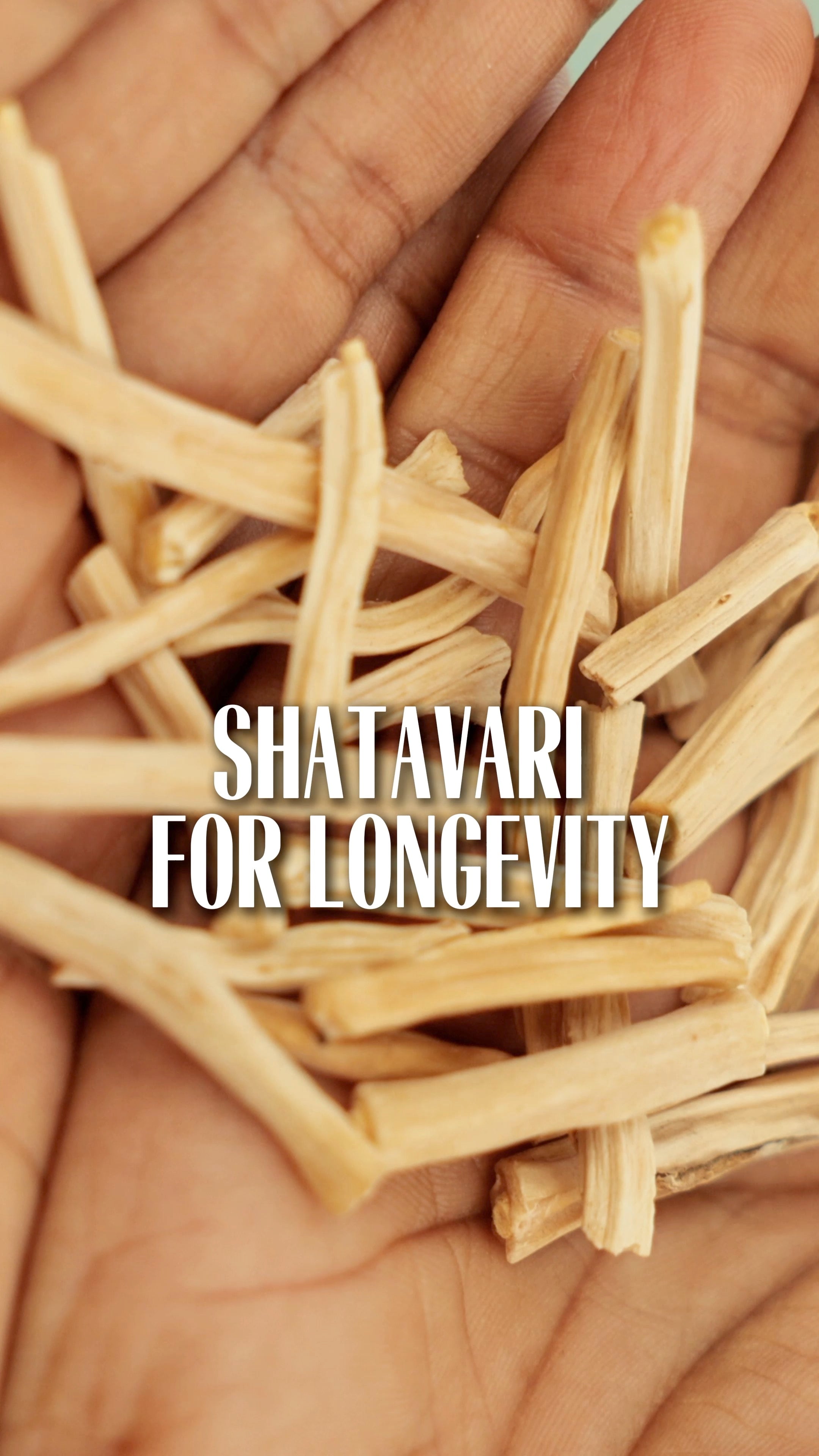 SHATAVARI FOR LONGEVITY