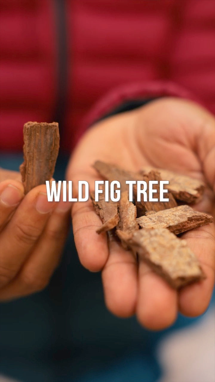 Wild Fig Tree Bark