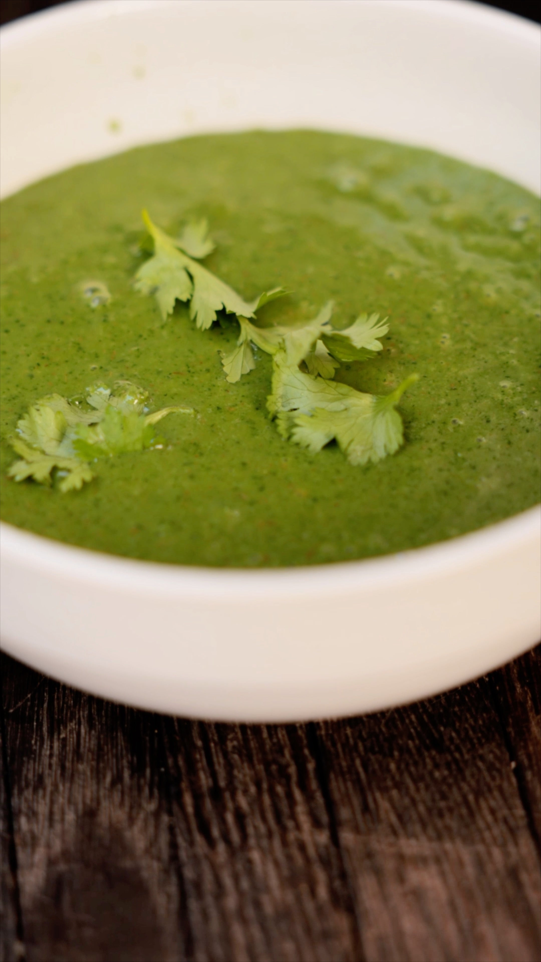 The Cilantro & Coconut Dip