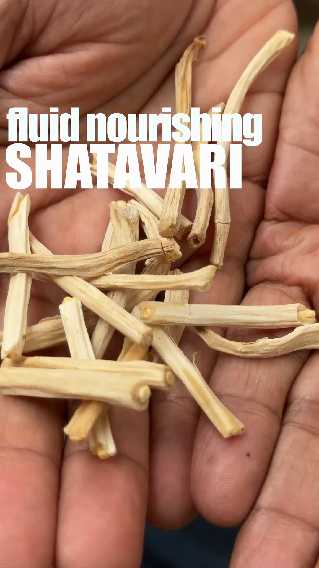 Fluid Nourishing Shatavari