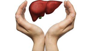 Why Liver Function Is Important And How To Repair & Rejuvenate It