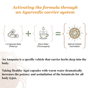 Healthy Agni Capsules