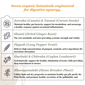 Healthy Agni Capsules