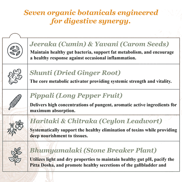 Healthy Agni Capsules