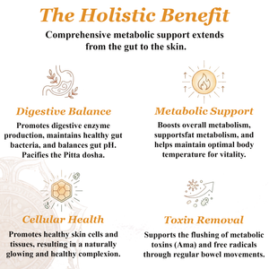 Healthy Agni Capsules