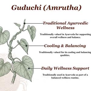 Athreya Amruthottara Kashayam, about the product