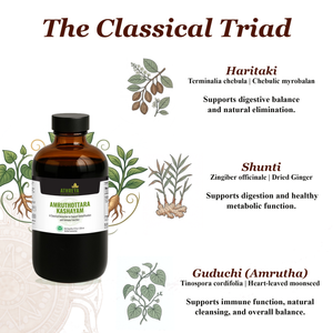 Athreya Amruthottara Kashayam, ingredients infographic