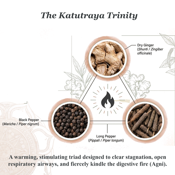 Athreya Dashamoola Katutraya Kashayam, ingredients infographic 2