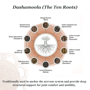 Athreya Dashamoola Katutraya Kashayam, ingredients infographic