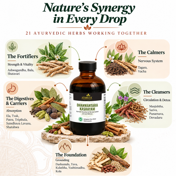 Athreya Dhanwantara Kashayam, ingredients infographic 2