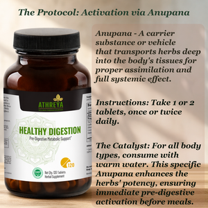 Healthy Digestion Tablets