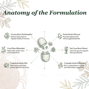 Healthy Digestion Tablets