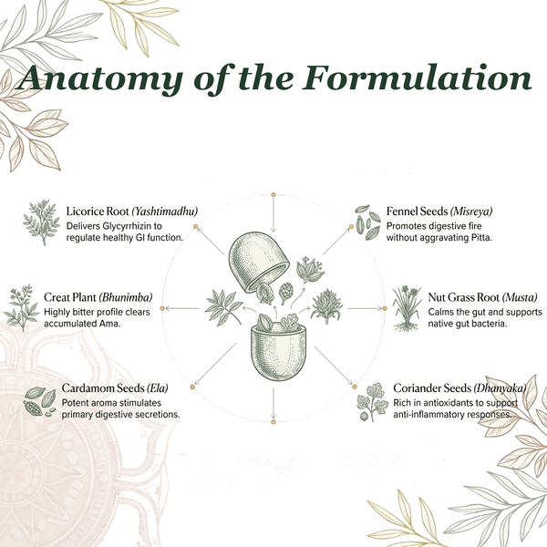 Healthy Digestion Tablets