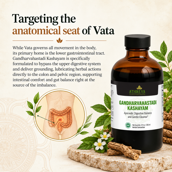 Athreya Gandharvahastadi Kashayam, benefits infographic 2