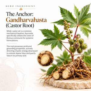 Athreya Gandharvahastadi Kashayam, ingredients infographic