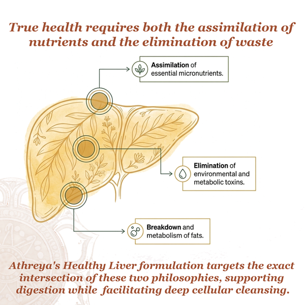 Healthy Liver Tablets