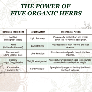 Healthy Lipids Tablets