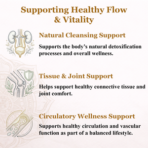 Active Joints (Kaishore Guggulu)