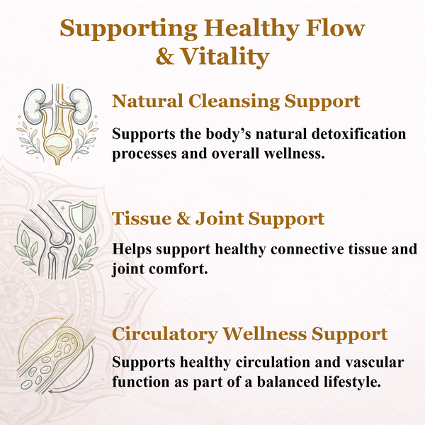 Active Joints (Kaishore Guggulu)