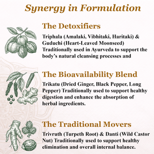 Active Joints (Kaishore Guggulu)