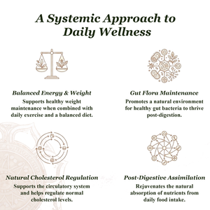 Healthy Metabolism Tablets