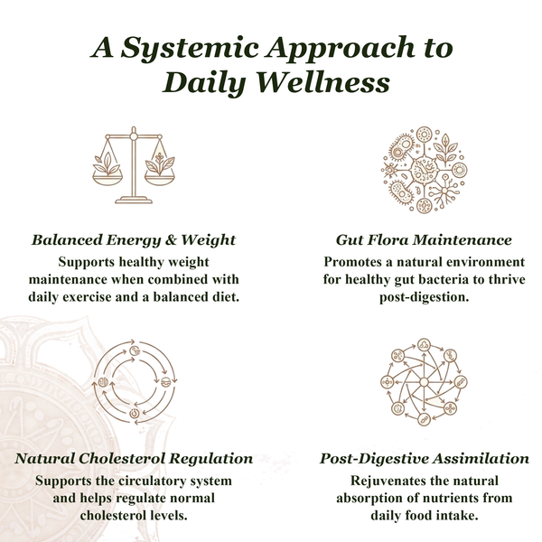 Healthy Metabolism Tablets