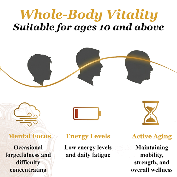 Pure Shilajit Tablets