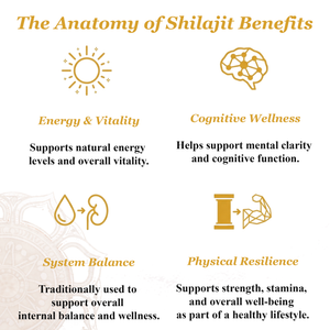 Pure Shilajit Tablets