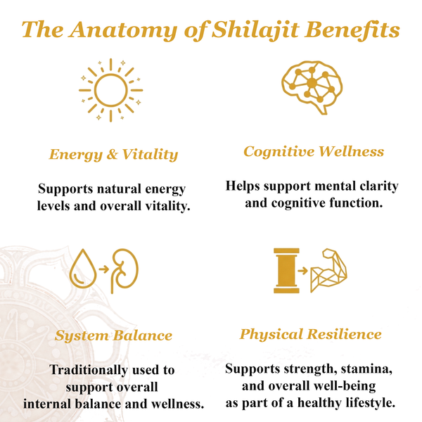 Pure Shilajit Tablets