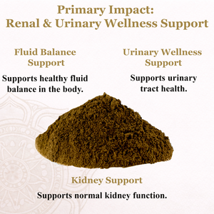 Pure Shilajit Powder