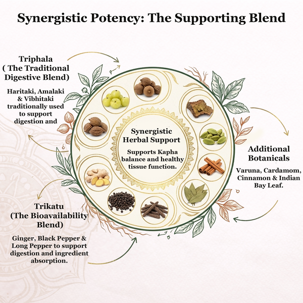 Slim Up (Kanchanar Guggulu)