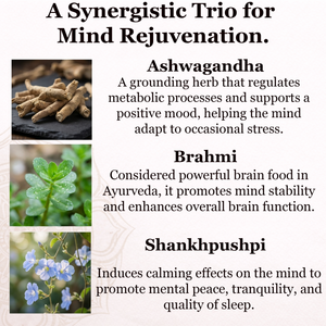 Healthy Mind Tablets