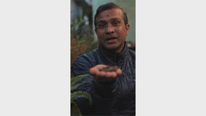 Healthy Metabolism Tablets