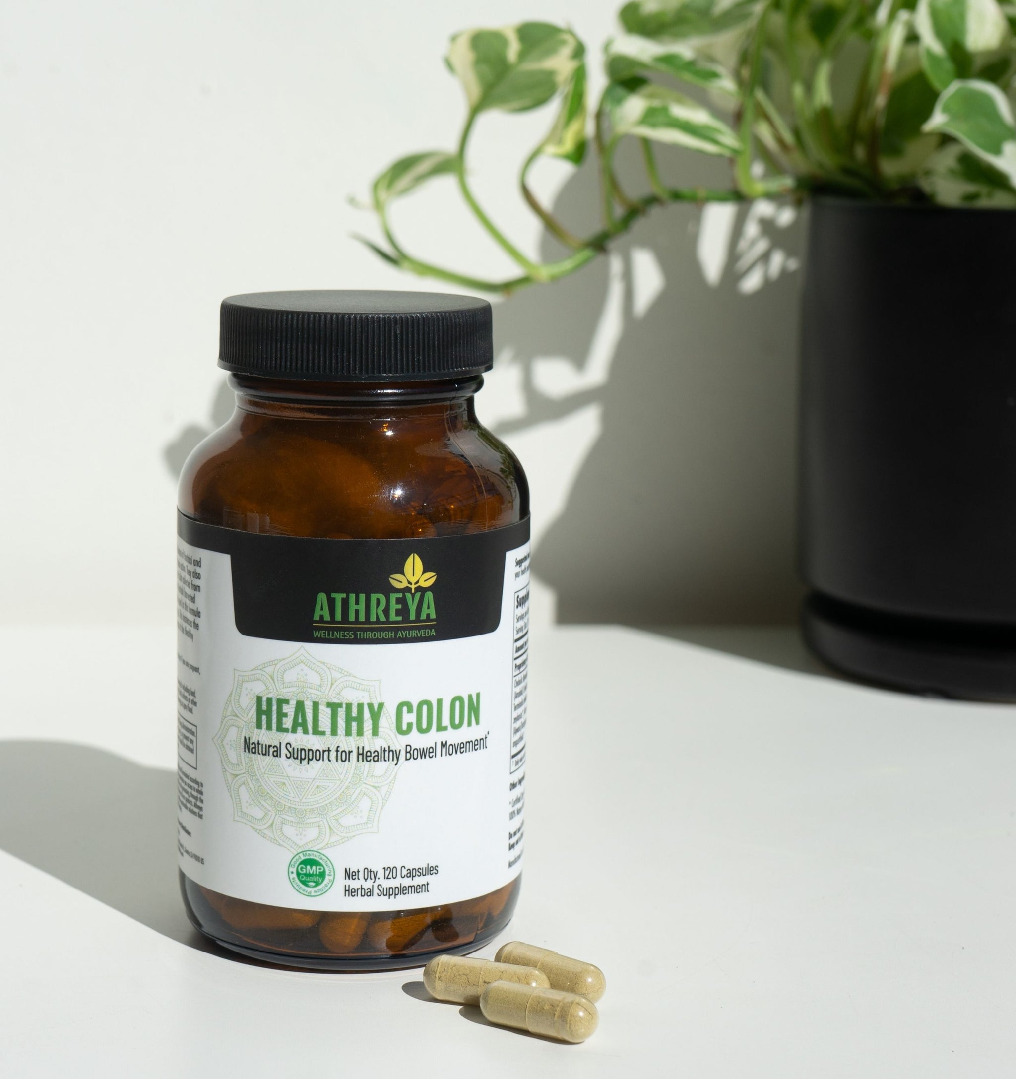 Colon Product Healthy Colon Capsules| Supplement for Supporting Healthy Bowel ...